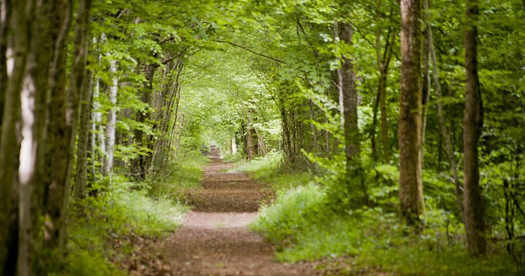 Comprendre et évoluer au fil du chemin
